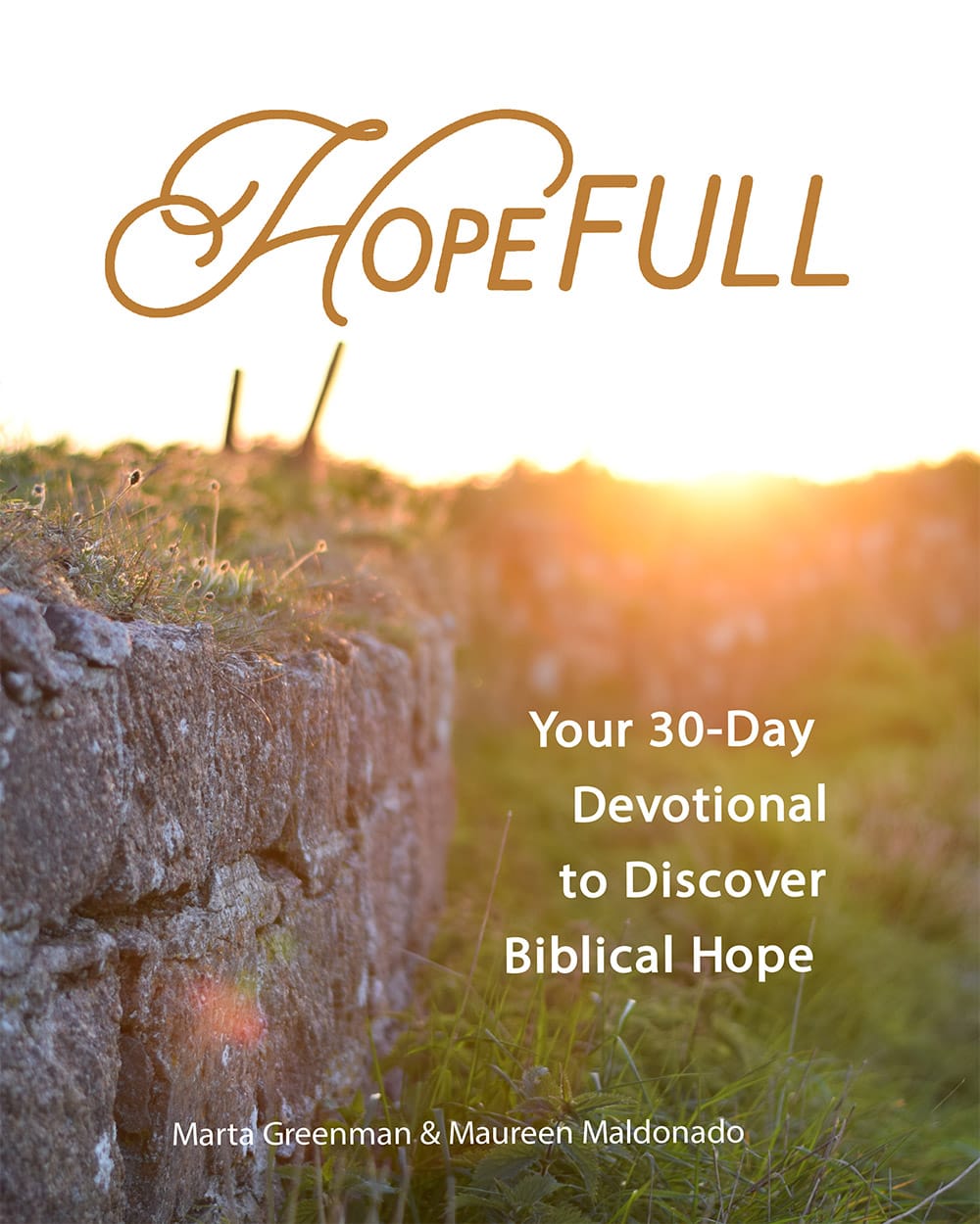 HopeFull-Front-Book-Cover-No-Bleed-11.24